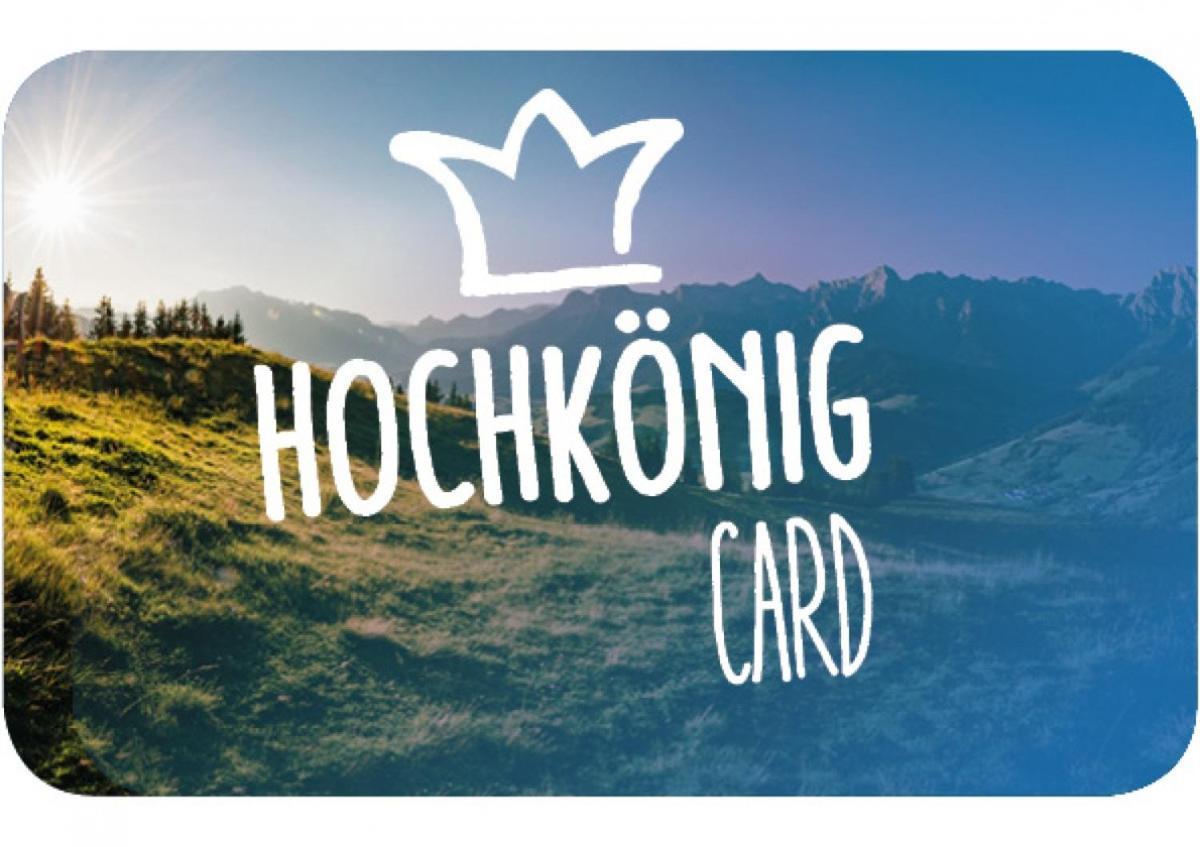 Haus Schneeberg Mit Hochkoenig Card Apartamento Mühlbach am Hochkönig Exterior foto