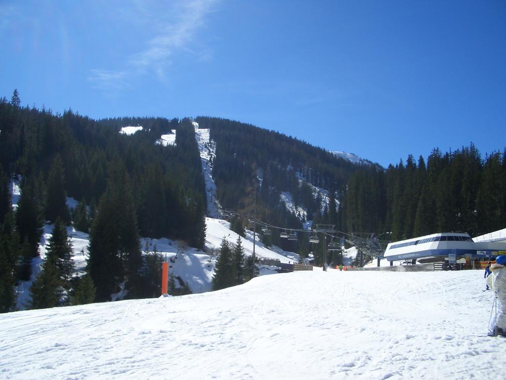 Haus Schneeberg Mit Hochkoenig Card Apartamento Mühlbach am Hochkönig Exterior foto